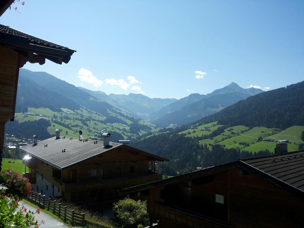 Апартаменты Alpbach 646 Номер фото