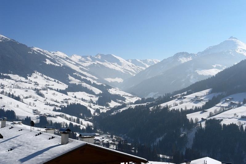 Апартаменты Alpbach 646 Номер фото